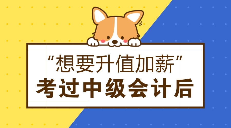噼里啪运营会计,噼里啪财务