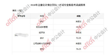 CPA成绩